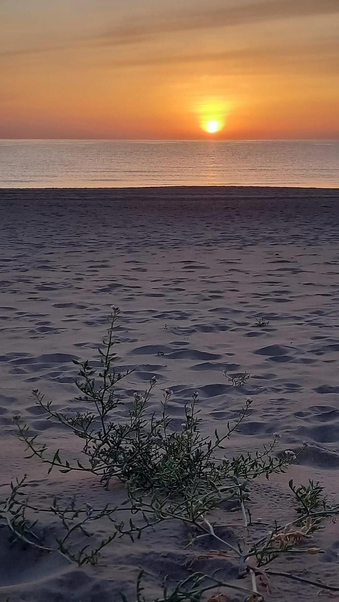 Vivienda En El Campello Playa 빌라 외부 사진